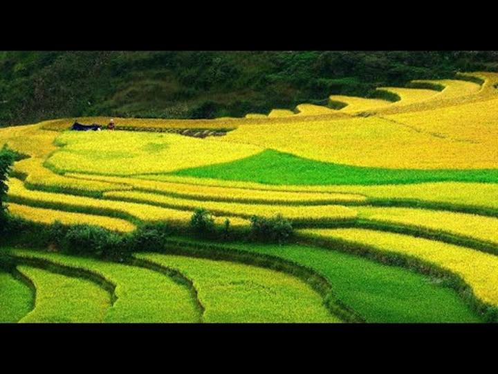 Chuyên gia Hotspot Matrix phân tích: Concert quốc gia - khi người và marketing video