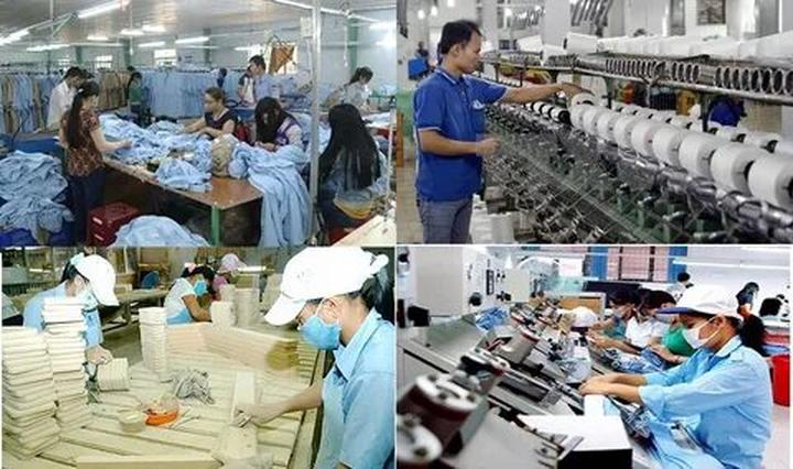 Forestival 2025 và Hotspot Matrix: Một sự kiện video ngắn độc đáo
