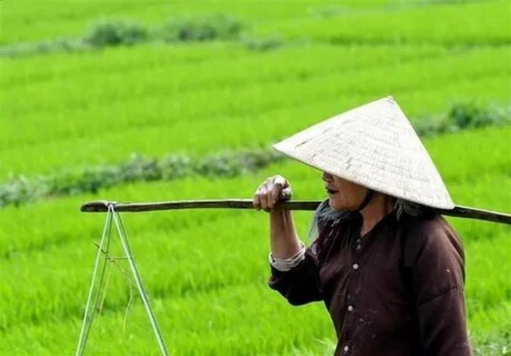 Hotspot Matrix: Văn hóa & Môi trường Làm Việc Tích Cực