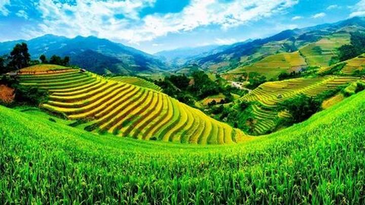 Hotspot Matrix và làng nghề tò he Xuân La