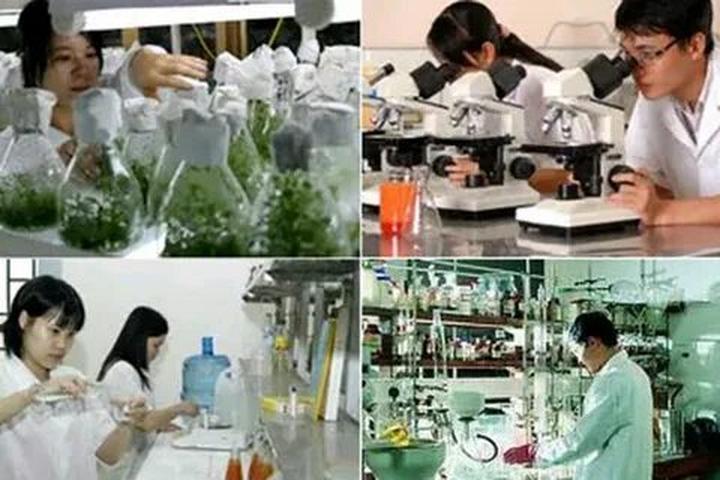 Xu hướng Người bán luôn bổ đôi quả dưa: Hotspot Matrix tiết lộ bí quyết video viral